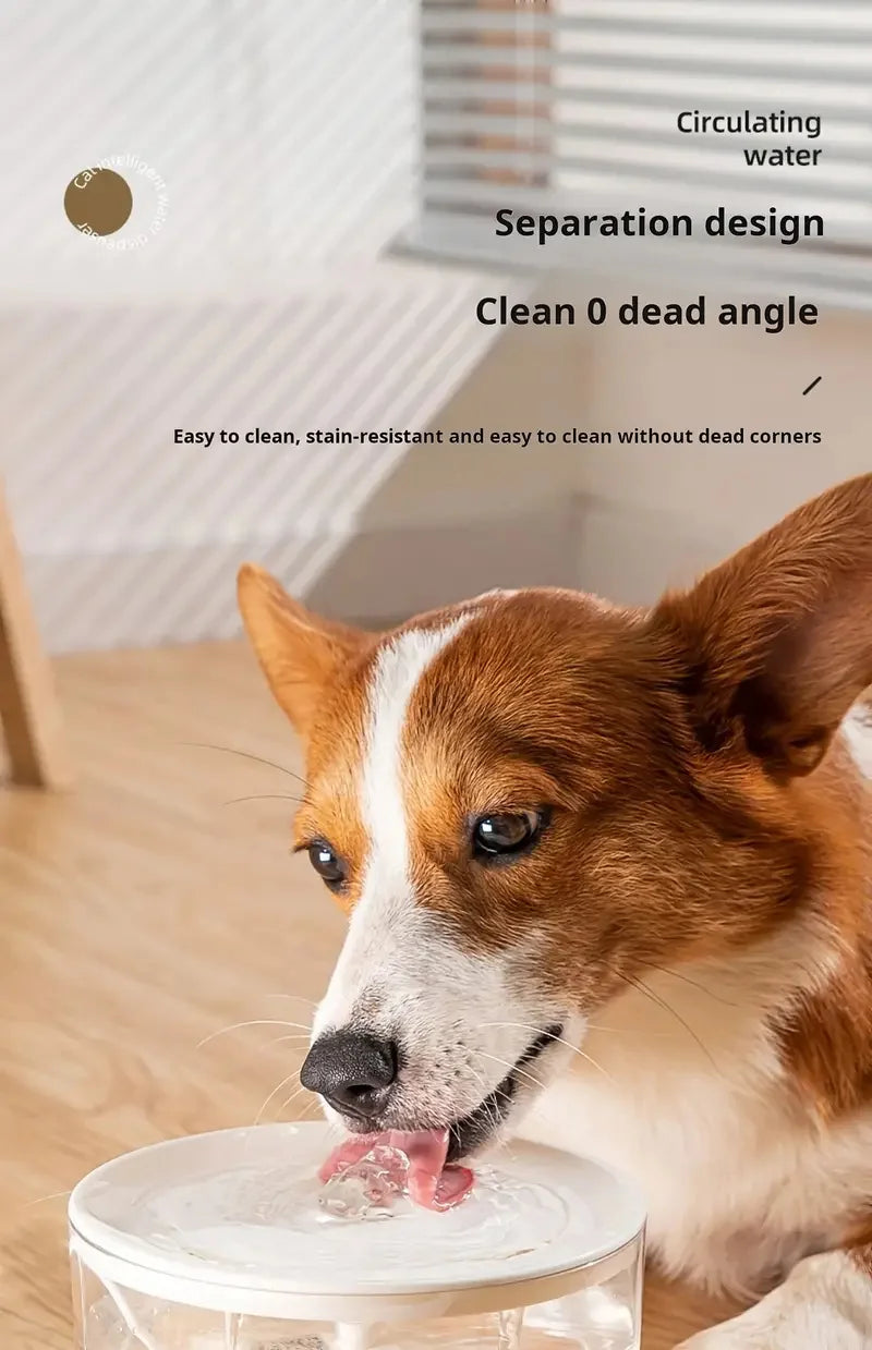 5V USB Powered Automatic Pet Water Fountain – Whisper-Quiet